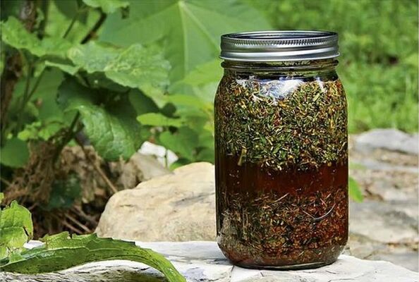 Infusiones de hierbas antiparasitarias